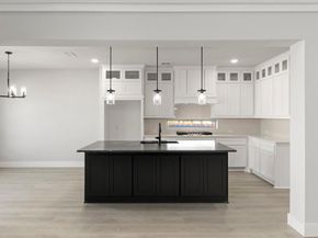 2008  Burriana  , Little Elm Texas 75068