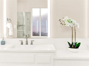 15372  Mountain View Lane , Frisco Texas 75035