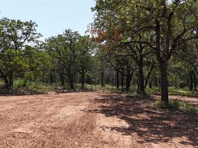 1991  Sunflower Road , Bridgeport Texas 76073