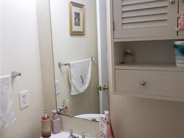 1313  Forbes Drive , Garland Texas 75040