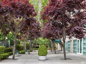 240 Lombard Street 235, San Francisco CA 94111