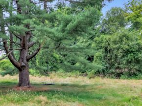 61 Clapboard Hill Road, Westport CT 06880