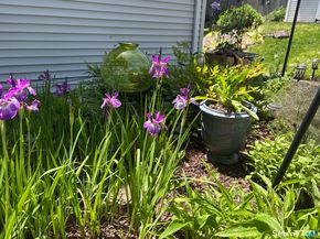 105 Meadow Wood Road, Stratford CT 06614