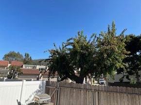 13010 Camino Del Rey, Whittier CA 90601