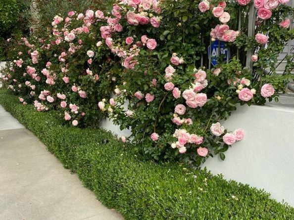 9009 Lloyd Place, West Hollywood CA 90069