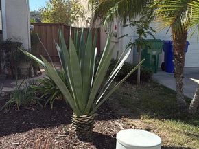 11553 Trailbrook Lane, San Diego CA 92128