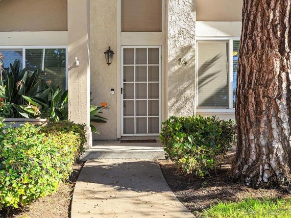 14 Dragonfly 25, Irvine CA 92604