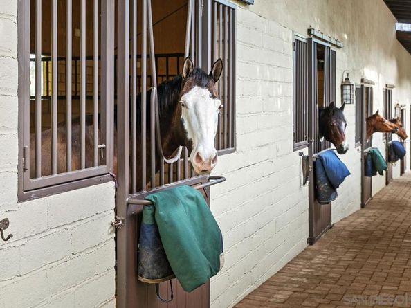 16337 Los Arboles, Rancho Santa Fe CA 92067