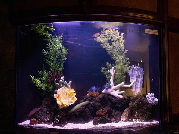 3921 Ocean Front Walk, San Diego CA 92109