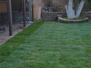 5707 Bigelow Street, Lakewood CA 90713