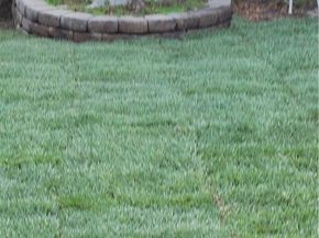 5707 Bigelow Street, Lakewood CA 90713