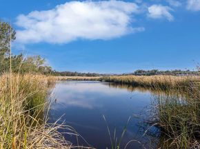 2577 Delphinium Lane, Carlsbad CA 92008