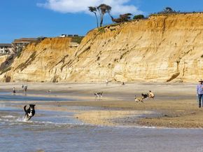 2577 Delphinium Lane, Carlsbad CA 92008