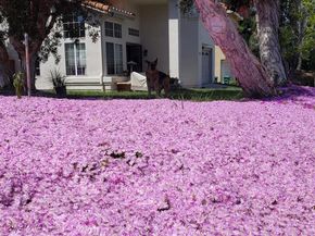 3430 Corte Viejo, Carlsbad CA 92009