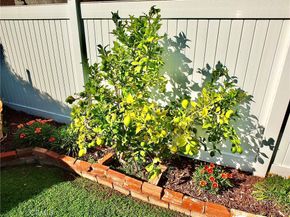 5275 E Mezzanine Way, Long Beach CA 90808