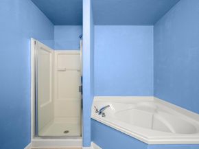 13312 Nelson Houser ST, Manor TX 78653