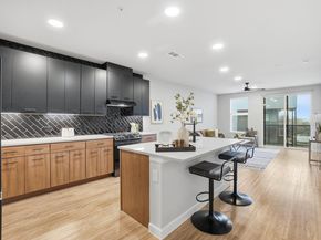 4510 Terry-O LN 302, Austin TX 78745