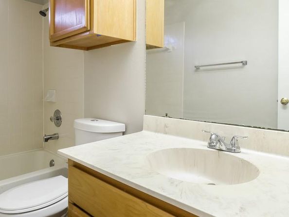 10705 N Platt River DR, Austin TX 78748