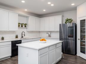 309 Sonbria PASS, Liberty Hill TX 78642