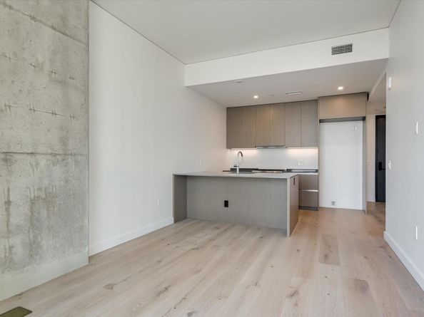610 Davis ST 1810, Austin TX 78701