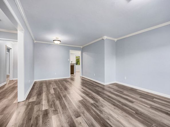 9671 Judalon Lane, Houston TX 77063