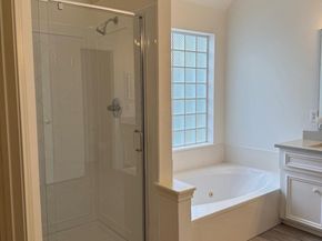 3906 Shadow Cove Drive, Houston TX 77082