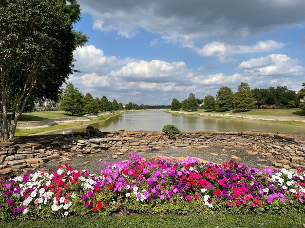 3906 Shadow Cove Drive, Houston TX 77082