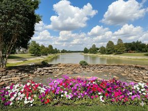 3906 Shadow Cove Drive, Houston TX 77082