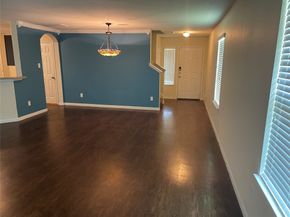 11418 El Diamante Drive, Houston TX 77048