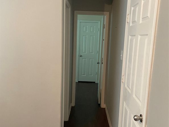 11418 El Diamante Drive, Houston TX 77048