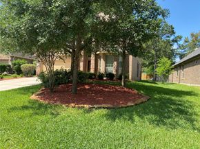 15 S Marshside Place, Spring TX 77389