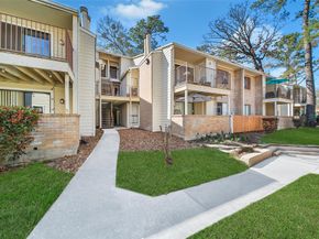 3500 Tangle Brush Drive 72, Spring TX 77381