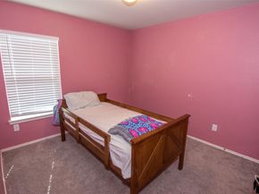 10507 Vinca Minor Lane, Houston TX 77016