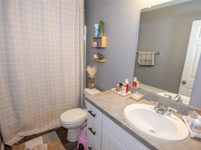 10507 Vinca Minor Lane, Houston TX 77016