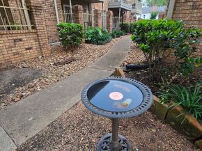 10615 Briar Forest Drive 1001, Houston TX 77042