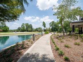 31417 Longwood Park Lane, Spring TX 77386