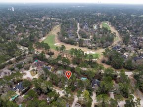 58 Candle Pine Place, The Woodlands TX 77381