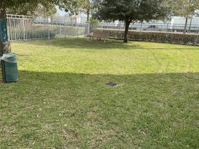 3123 Leeland Street, Houston TX 77003