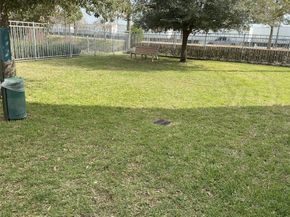 3123 Leeland Street, Houston TX 77003