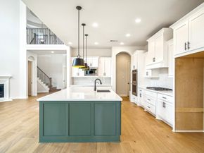 10726 Flamingo Feather Court, Cypress TX 77433