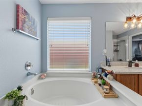 17330 Turquoise Stream Drive, Houston TX 77095