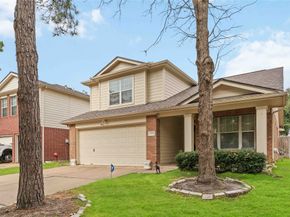 17330 Turquoise Stream Drive, Houston TX 77095