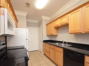 11045 Landswalk Drive 115, Houston TX 77099