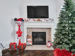 21822 Winsome Rose Court, Cypress TX 77433