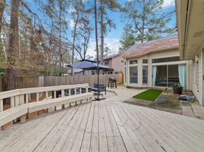 36 N Rain Forest Court, Spring TX 77380