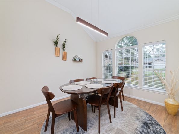 36 N Rain Forest Court, Spring TX 77380