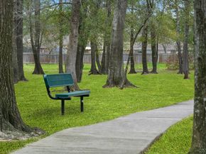 25427 Alpine Switchback Drive, Spring TX 77373