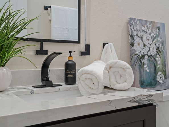 913 Thompson Street, Houston TX 77007