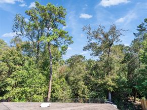 31407 Imperial Bluff Court, Spring TX 77386