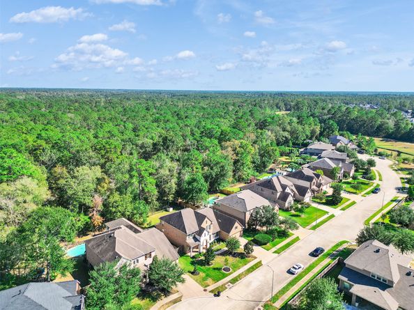 31407 Imperial Bluff Court, Spring TX 77386